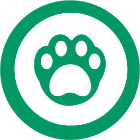 猫砂工程
