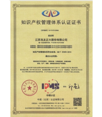知识产权